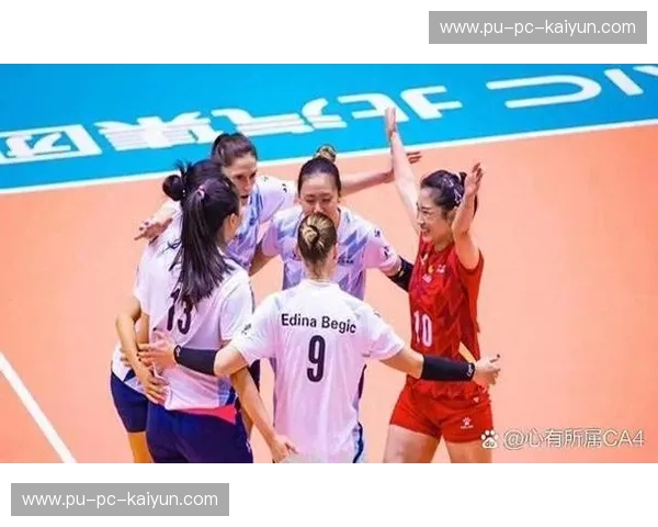 排球阵容：从角色到战术的全面解读，让每一位队友都成为胜利的拼图